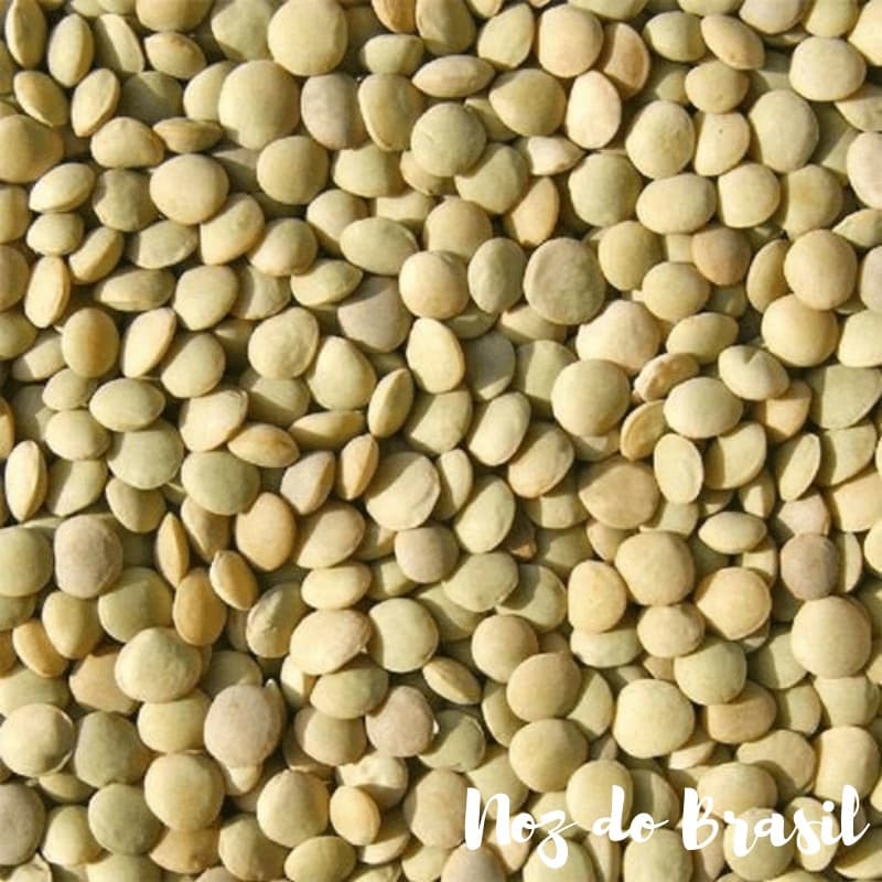 Lentilha Canadense - 1 kg (Noz do Brasil)