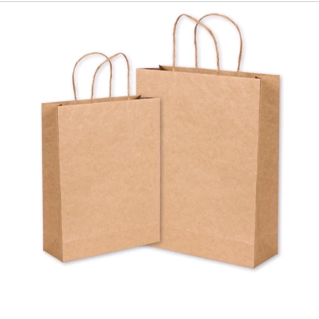 Sacolas Papel Kraft Parda Natural Alça Torcida Tam P 17,5x27,5x9 - Roupas, Doces, Presente, Delivery